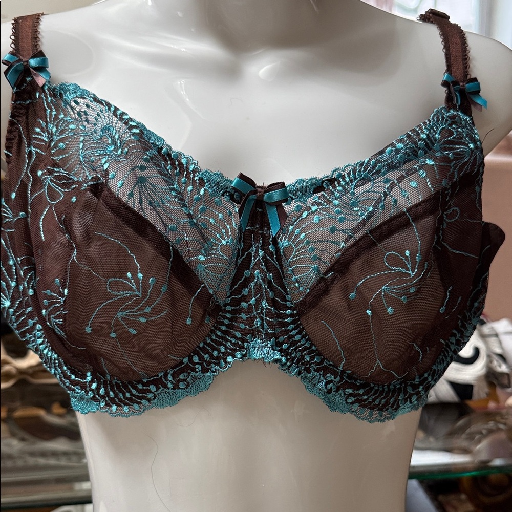 Elegant Lace Underwire Bra - Brown and Teal Fit fully Yours 40D